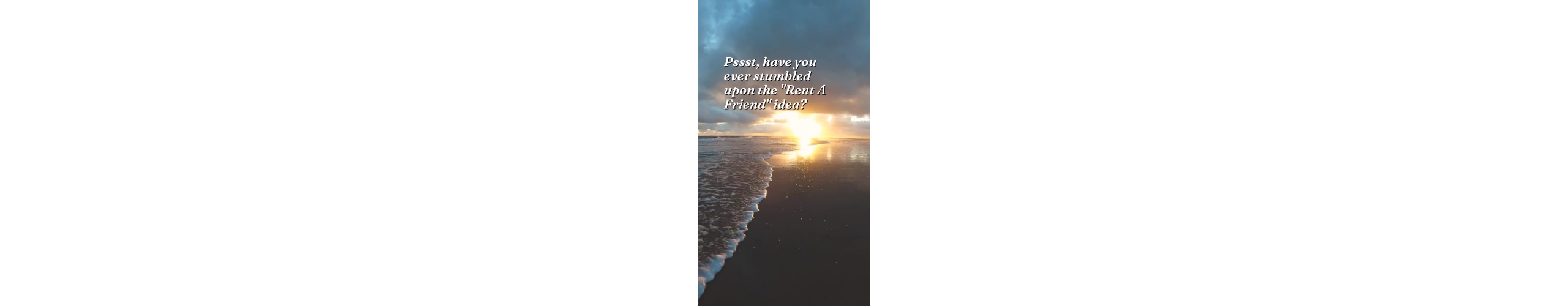 a place to rent a trustful friend with knowledge and fun