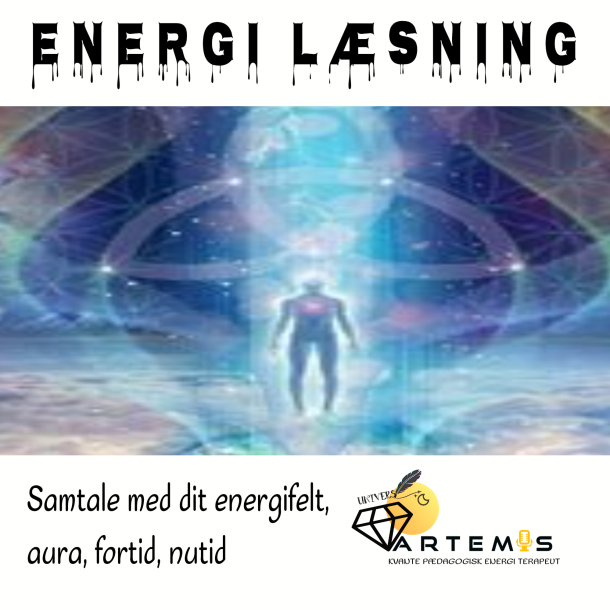 ENERGILSNING