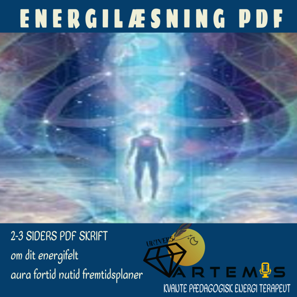 ENERGILSNING P PDF